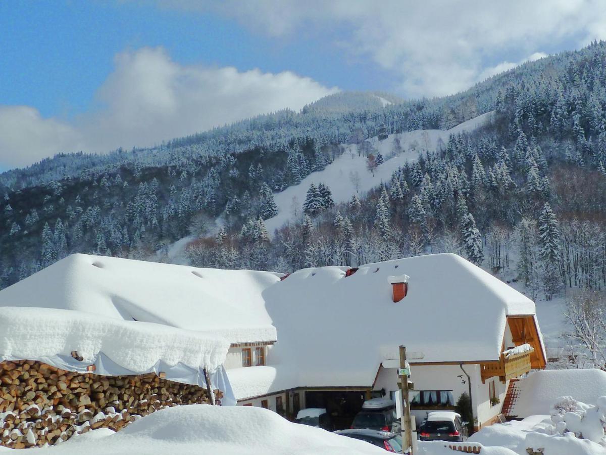 Apartment In Brandenberg With Terrace Todtnau Δωμάτιο φωτογραφία